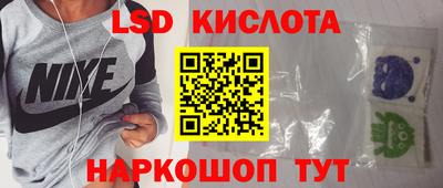 СК Бийск