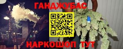 СК Бийск