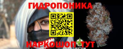 шишки Беслан