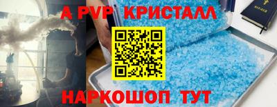 СК Бийск