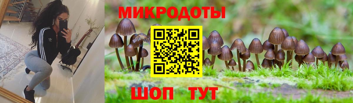 Псилоцибиновые грибы прущие грибы Ковров